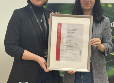 ✅ PEFC tanúsítva – raklapgyártás felelősen